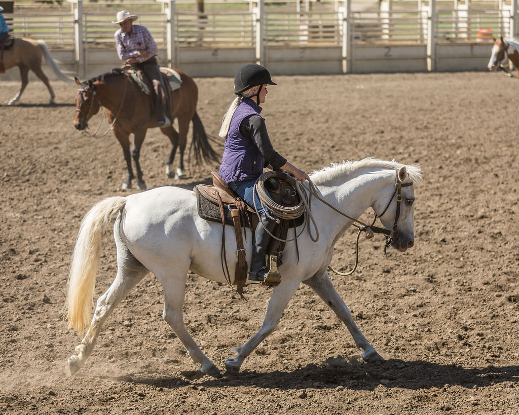 Photo of Emma, Daily kline riding her lipizzan novella in a buck brannaman clinic in dayton washington