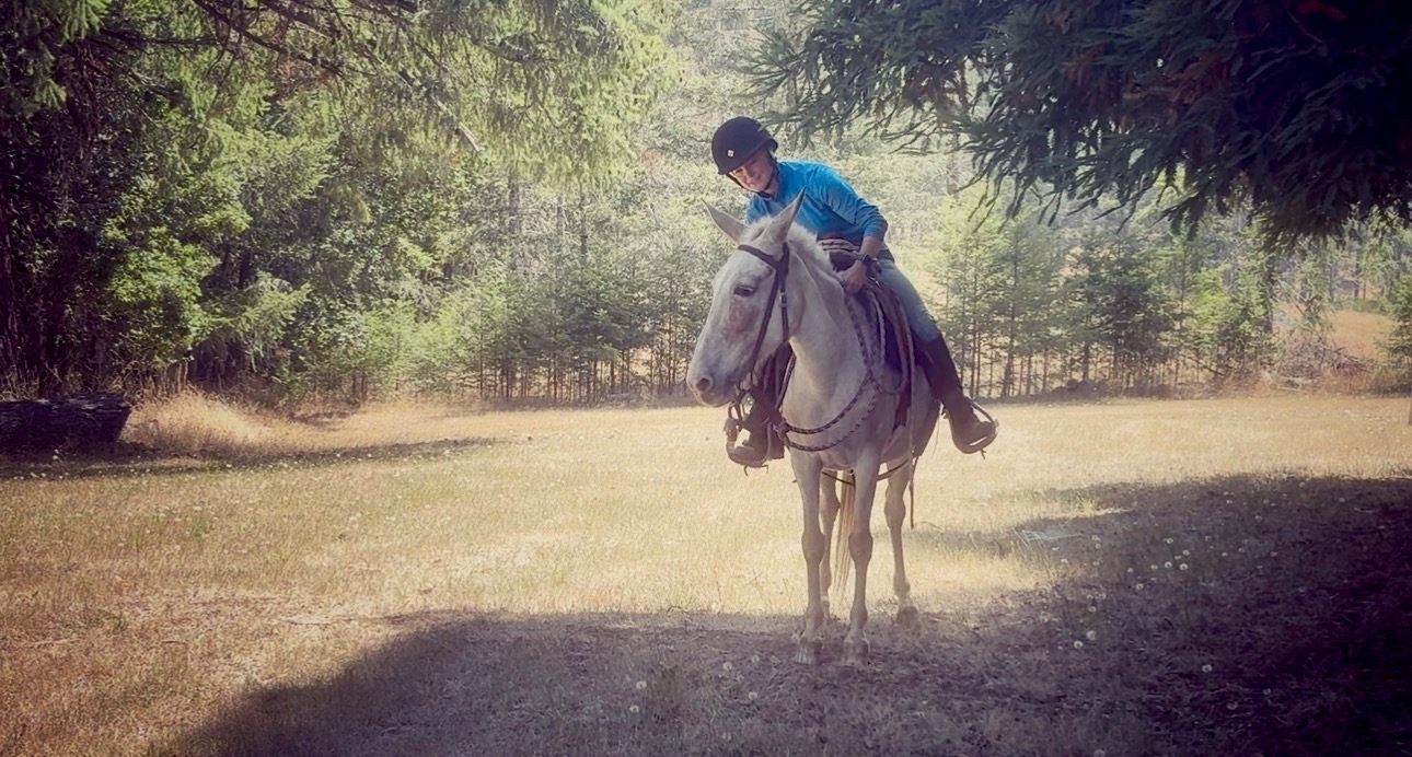 Emma riding Cindy the molly mule under the shade of evergreen trees bordering a sunlit summer pasture in Western Oregon.